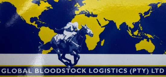 gblogo flexile-white-logo